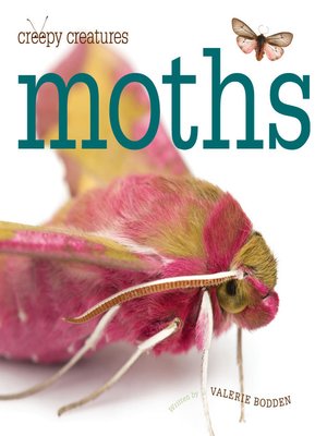 cover image of Moths
